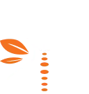 Intro Icon