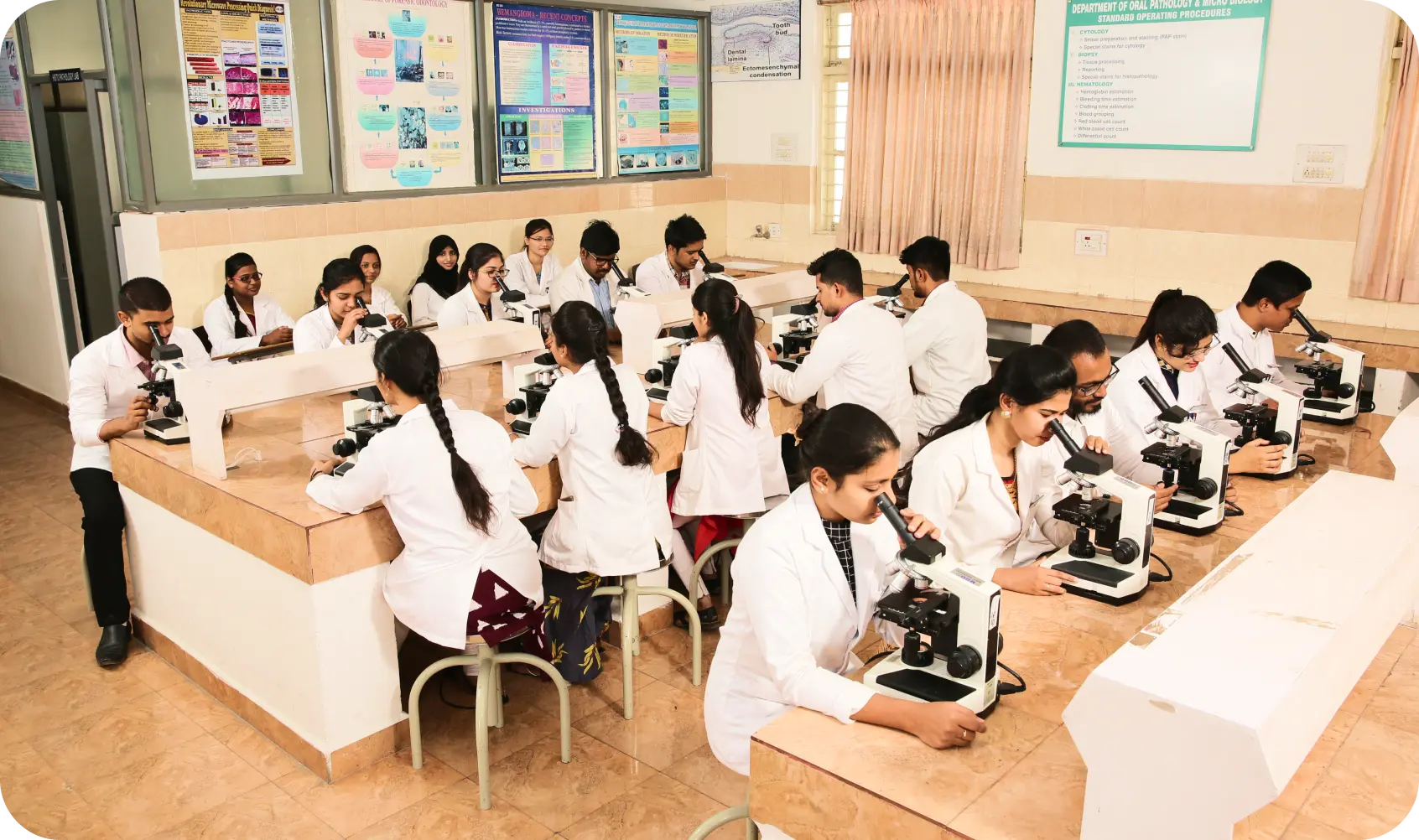 Labs